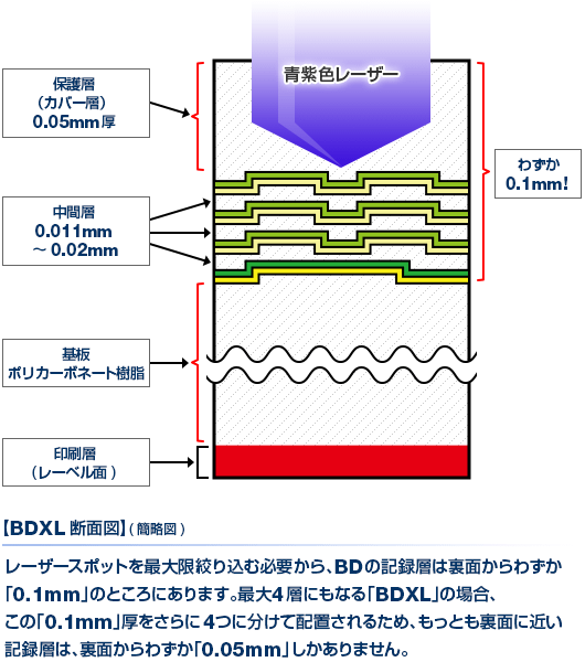 BDXL断面図