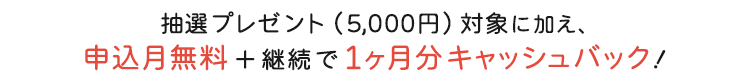 抽選プレゼント（5,000円）対象に加え、申込月無料＋継続で1ヶ月分キャッシュバック！