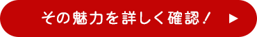 その魅力を詳しく確認！