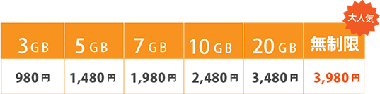 3GB 980円 5GB 1,480円 7GB 1,980円 10GB 2,480円 20GB 3,480円 無制限 3,980円