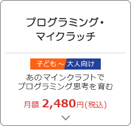 プログラミング・マイクラッチ