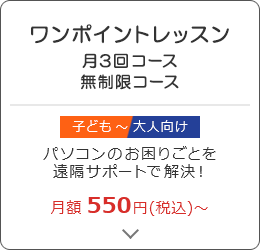 ワンポイントレッスン 月3回コース 無制限コース