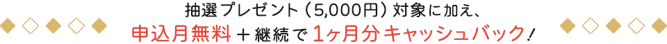 抽選プレゼント（5,000円）対象に加え、申込月無料＋継続で1ヶ月分キャッシュバック！