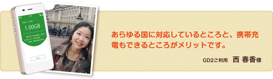 GD2利用　あらゆる国に対応しているところと、携帯充電もできるところがメリットです。