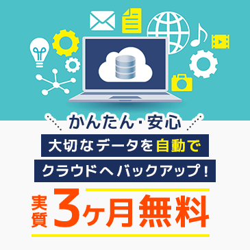 ★実質3ヶ月無料★大切なデータをクラウド上に全自動で保管！