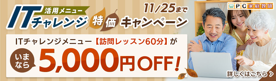 【特価5,000円引き！】プロのレッスンが、とってもお得！